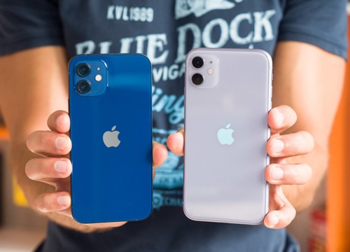 Mua iPhone 11 hay iPhone 12: Chọn sao để không phải ôm hận?