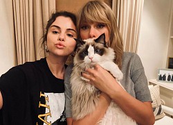 Selena Gomez nhớ nhung Taylor Swift