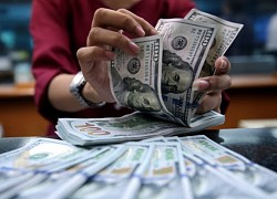 Tỷ giá USD hôm nay 24/3: USD bứt phá