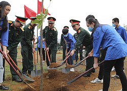 Bộ Quốc phòng hưởng ứng chương trình 'Vì một Việt Nam xanh'