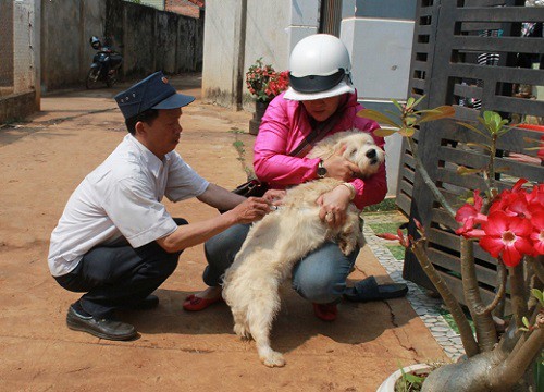 Đắk Lắk ghi nhận một trường hợp tử vong do bệnh dại