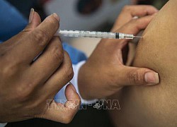 Điều tra hàng trăm quan chức Peru lợi dụng chức vụ để tiêm trước vaccine