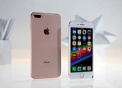 iPhone 8 Plus biến mất khỏi thị trường Việt Nam