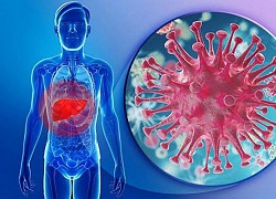 Nhiễm virus viêm gan B có ảnh hưởng khả năng sinh con?