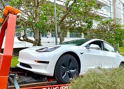 Sinh viên thực hành trên xe điện Tesla