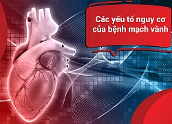 Các yếu tố nguy cơ của bệnh động mạch vành