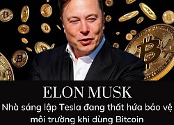 Cam kết bảo vệ môi trường nhưng lại ủng hộ Bitcoin, Elon Musk bị chỉ trích 'hứa lèo'