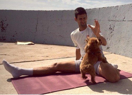 Djokovic dẻo dai nhờ yoga