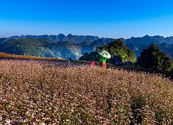 Hà Giang đón khách đông hơn trong Covid-19