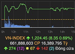 HoSE sớm nghẽn lệnh vào phiên sáng khiến VN-Index chỉ tăng hơn 8 điểm