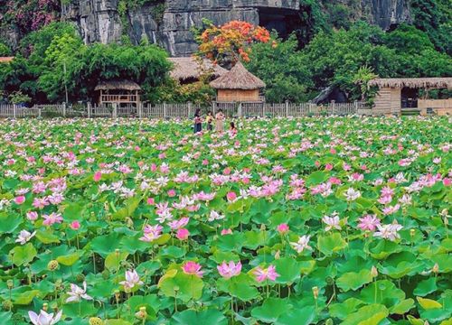 Ninh Bình đẩy mạnh du lịch nông nghiệp, nông thôn