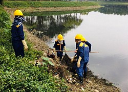 Tăng cường giải pháp đảm bảo môi trường các hồ điều hòa trong công viên Yên Sở