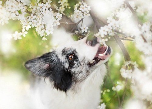 Tháng 4 và 5: 3 con giáp "Bách phát bách trúng" Ngọc Hoàng độ mạng, đầu tư vào đâu cũng hái ra tiền