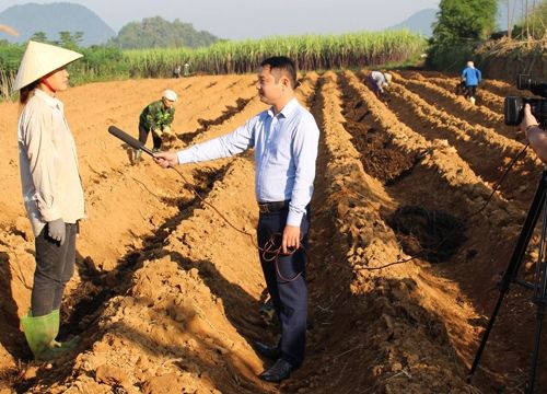 Trung tâm Văn hóa, thông tin, Thể thao và Du lịch cấp huyện: Chú trọng nâng cao chất lượng hiệu quả công tác thông tin, tuyên truyền