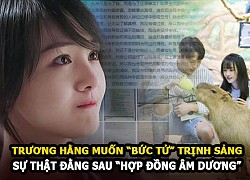 Trương Hằng muốn bức tử Trịnh Sảng và &#8220;góc khuất&#8221; trong &#8220;hợp đồng âm dương&#8221;