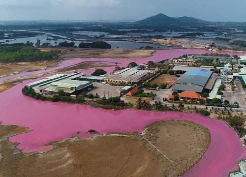 Xuất hiện hồ nước màu hồng, có mùi hôi khó chịu tại Bà Rịa - Vũng Tàu