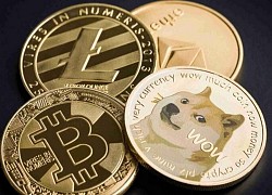 Cơn sốt Dogecoin khi nào mới hạ nhiệt?