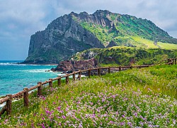 Đảo Jeju lao đao kể cả khi du khách trở lại