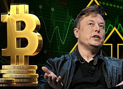 Elon Musk: 'Tôi chưa bán một đồng Bitcoin nào'