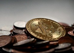 Giá Bitcoin hôm nay 29/4: Bitcoin gục ngã trước ngưỡng 55.000 USD