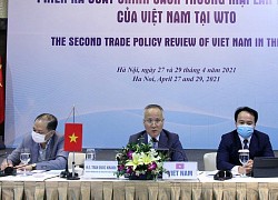 Hơn 800 câu hỏi về cam kết chính sách thương mại trong WTO được gửi đến Việt Nam