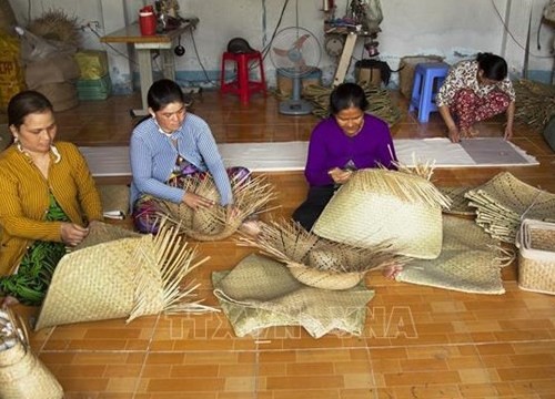 Kiên Giang: "Thổi hồn" vào cỏ bàng để vươn lên làm giàu