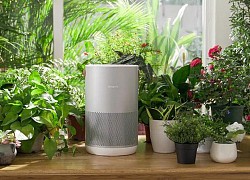 Máy lọc không khí Smartmi Air Purifier P1: Siêu phẩm &#8220;đáng đồng tiền bát gạo&#8221;