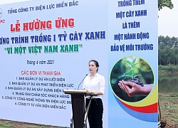 Sáu đơn vị thuộc ngành điện miền Bắc: Tiếp tục hưởng ứng chương trình trồng 1 tỷ cây xanh