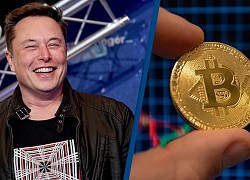 Tesla đạt lợi nhuận kỷ lục trong Q1/2021, một phần là nhờ bán Bitcoin