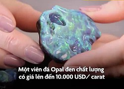 Vì sao đá Opal có giá lên đến hơn 10.000 USD/carat?