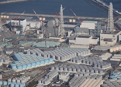 Việt Nam nói về việc Nhật xả nước thải Fukushima ra biển