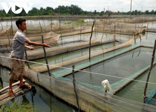 Có nên duy trì hoạt động nông nghiệp ở TP Thủ Đức?