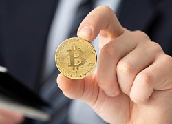 Giá Bitcoin hôm nay 6/4: Bitcoin đi ngang, thị trường tiền ảo vẫn bùng nổ