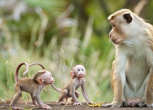 Hờn ghen đỏ mắt với 3 con giáp hưởng trọn vinh hoa, tình tiền viên mãn trong 10 ngày tới