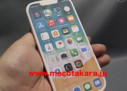 Mô hình iPhone 13 Pro lộ diện với rãnh tai thỏ nhỏ hơn, vị trí loa thoại và camera selfie thay đổi