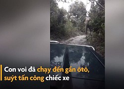 Ôtô 'đụng độ' voi khi di chuyển trên đường làng