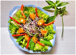 Salad rau mầm sốt mè rang tự làm