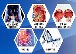 Điểm mặt "thủ phạm" gây tiểu máu