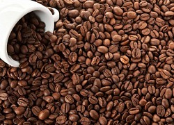 Giá cà phê hôm nay 7/4: Arabica hồi phục mạnh mẽ, Robusta tăng trở lại ngay sau lễ Phục Sinh