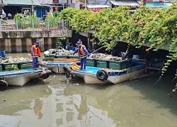 Giải pháp hạn chế tình trạng cá chết trên kênh Nhiêu Lộc - Thị Nghè