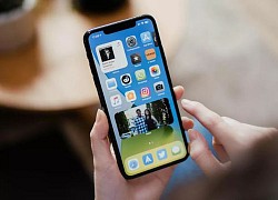 Hơn 90% lượng iPhone đang hoạt động đã cài đặt iOS 14