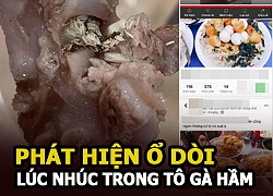 Phát hiện ổ dòi trắng xóa, lúc nhúc trong tô gà hầm, thực khách nôn thốc nôn tháo