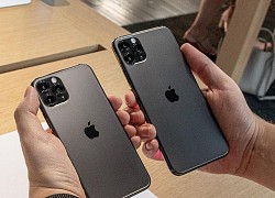 Quên iPhone 12 đi, nhiều mẫu iPhone 11 đang giảm giá cực mạnh, rất đáng để "chốt đơn"