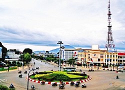 Tây Ninh: Nợ thuế nội địa đã giảm hơn 49%