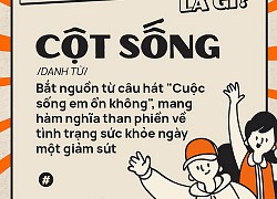 Từ điển Gen Z: "Cột sống" là gì?