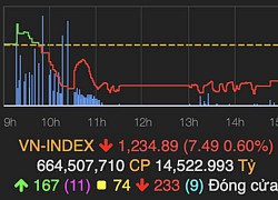 VN-Index giảm 8 điểm trong khi HNX-Index vẫn tăng tốt