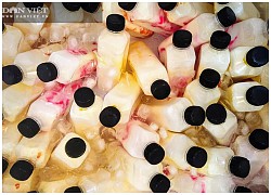 Bật mí cách làm sữa chua uống thơm ngon, giải nhiệt mùa hè