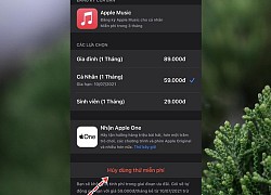 Cách đăng ký nhận 3 tháng dùng thử miễn phí Apple Music trên iPhone