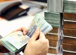 Điều tra lao động, tiền lương và mức sống tối thiểu của người lao động