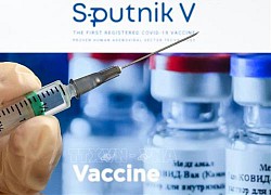 Đức đàm phán mua vaccine Sputnik V của Nga